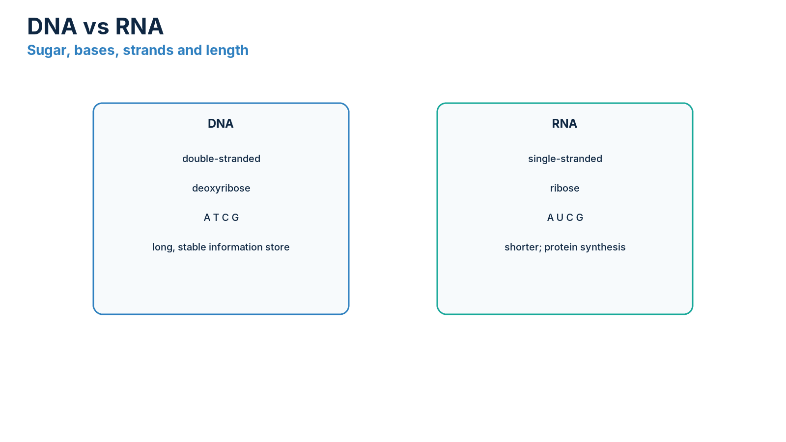 Teaching diagram comparing DNA and RNA